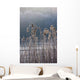 Frozen Reeds At The Shore Of A Lake, Cumbria, England Wall Mural