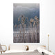 Frozen Reeds At The Shore Of A Lake, Cumbria, England Wall Mural