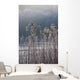 Frozen Reeds At The Shore Of A Lake, Cumbria, England Wall Mural