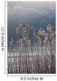 Frozen Reeds At The Shore Of A Lake, Cumbria, England Wall Mural