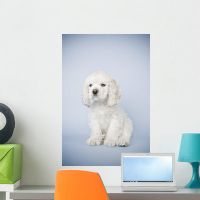 Cocker Spaniel Wall Mural shown on a wall