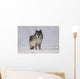 Wolf In The Snow Wall Mural