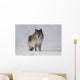 Wolf In The Snow Wall Mural
