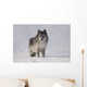 Wolf In The Snow Wall Mural