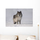 Wolf In The Snow Wall Mural