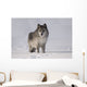Wolf In The Snow Wall Mural