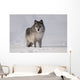 Wolf In The Snow Wall Mural
