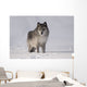 Wolf In The Snow Wall Mural