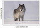 Wolf In The Snow Wall Mural