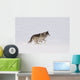 Wolf Running In The Snow Wall Mural