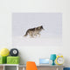 Wolf Running In The Snow Wall Mural