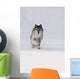 Wolf Running In The Snow Wall Mural