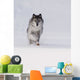 Wolf Running In The Snow Wall Mural