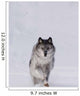 Wolf Running In The Snow Wall Mural
