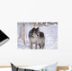 Wolf In The Snow Wall Mural