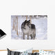 Wolf In The Snow Wall Mural