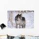 Wolf In The Snow Wall Mural