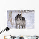 Wolf In The Snow Wall Mural