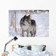 Wolf In The Snow Wall Mural