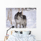 Wolf In The Snow Wall Mural