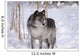 Wolf In The Snow Wall Mural
