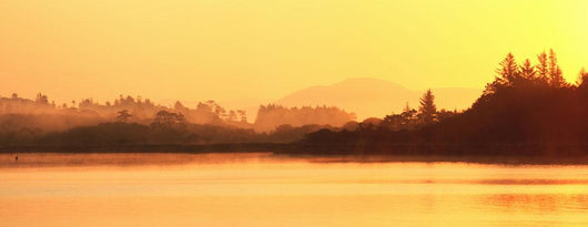 Oysterbed, County Kerry, Ireland, Near Sneem Wall Mural