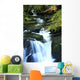 Torc Waterfall, Killarney National Park, County Kerry, Ireland Wall Mural
