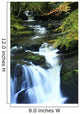 Torc Waterfall, Killarney National Park, County Kerry, Ireland Wall Mural