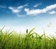Idyllic Landscape Wall Decal Design 1