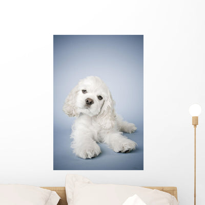 Cocker Spaniel Wall Mural shown on a wall