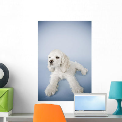 Cocker Spaniel Wall Mural shown on a wall