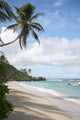 Palm Sea Praslin