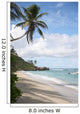 Palm Sea Praslin