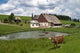Farmhouse Wall Decal