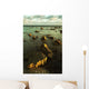 Rocks In Shallow Water By The Shore Wall Mural