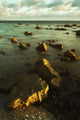 Rocks In Shallow Water By The Shore Wall Mural