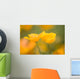 Yellow Poppy Flower, Mount Hood, Oregon, Usa Wall Mural