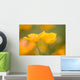 Yellow Poppy Flower, Mount Hood, Oregon, Usa Wall Mural