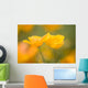 Yellow Poppy Flower, Mount Hood, Oregon, Usa Wall Mural
