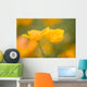 Yellow Poppy Flower, Mount Hood, Oregon, Usa Wall Mural