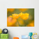 Yellow Poppy Flower, Mount Hood, Oregon, Usa Wall Mural