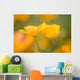 Yellow Poppy Flower, Mount Hood, Oregon, Usa Wall Mural