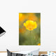 Yellow Poppy Flower, Mount Hood, Oregon, Usa Wall Mural