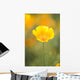 Yellow Poppy Flower, Mount Hood, Oregon, Usa Wall Mural