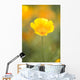 Yellow Poppy Flower, Mount Hood, Oregon, Usa Wall Mural