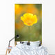 Yellow Poppy Flower, Mount Hood, Oregon, Usa Wall Mural