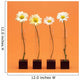 Four Flowers Wall Mural
