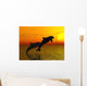Two Dolphins Swimming Wall Mural