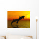 Two Dolphins Swimming Wall Mural