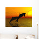 Two Dolphins Swimming Wall Mural